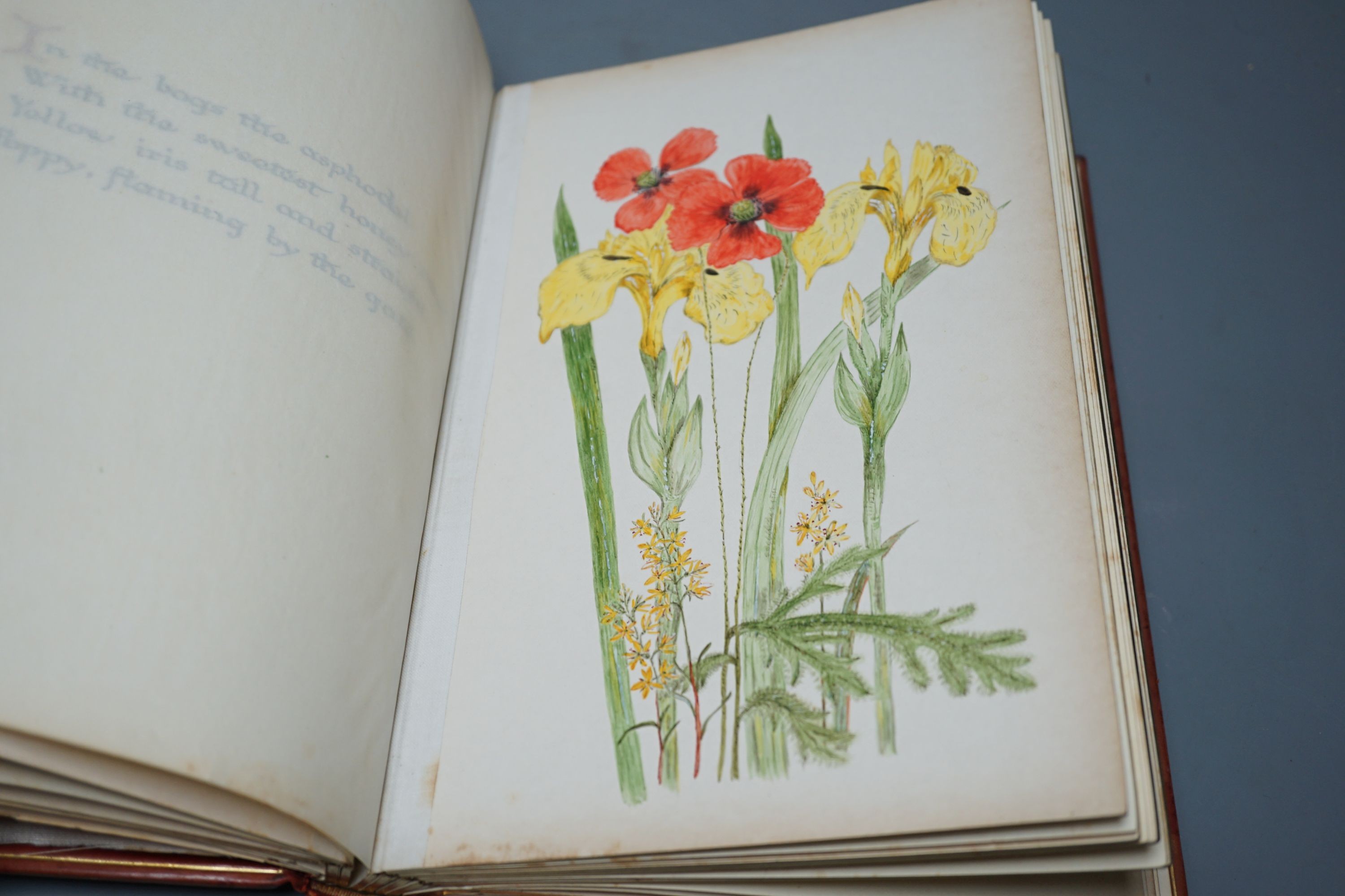 'Everyone’s Garden’, a leather-bound privately produced volume of botanical watercolours with opposing inscribed and illuminated pages